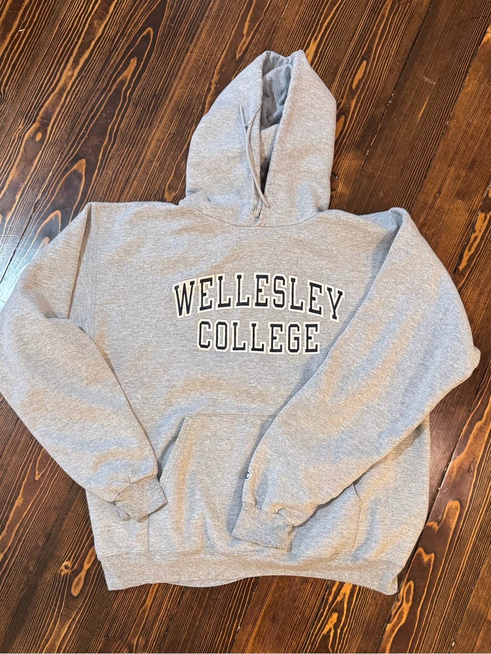 Champion Gray Wellesley College Hoodie